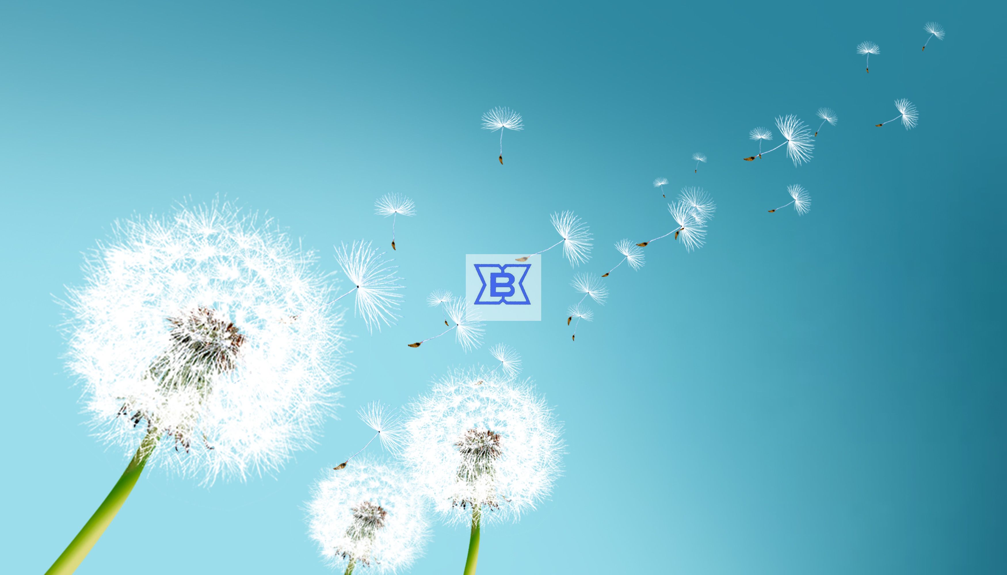 AG���λᡤ(�й���)һ������